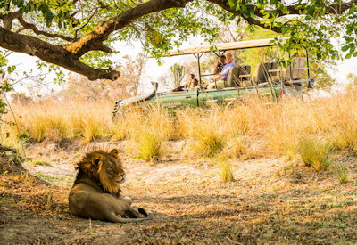 Busanga Plains Camp game drive walking safari 500 bird species Kafue National Park Zambia