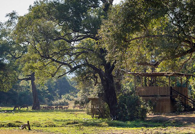 An active hide and prime location for close up photography of elephants and birds near Chamilandu Bushcamp