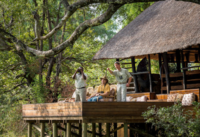 Guided evening 4x4 game drive tracking predators in South Luangwa National Park with Chamilandu Bushcamp