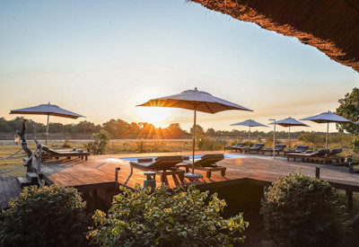 Exceptional leopard, wild dog, and predator sightings captured on safari near Chikunto Safari Lodge