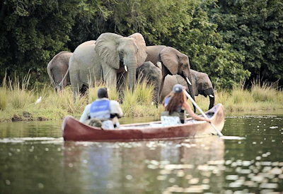 Chongwe River Camp canoeing safari walking safari bush picnic Lower Zambezi Zambia