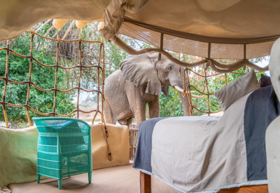 Chongwe River House elephant close encounter walking safari Lower Zambezi Zambia