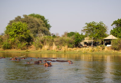 Chongwe River Suites private guide walking safari Lower Zambezi National Park Zambia
