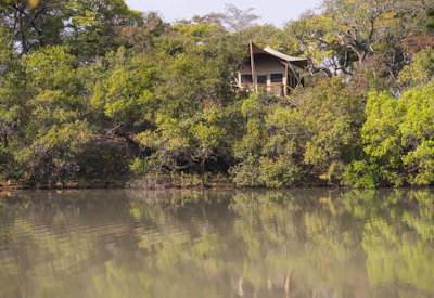 Fig Tree Bush Camp wild Kafue National Park lion cheetah leopard hyena wild dog Zambia