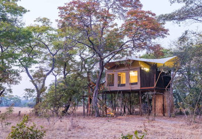 Fig Tree Bush Camp perched high tree line Kafue National Park Zambia