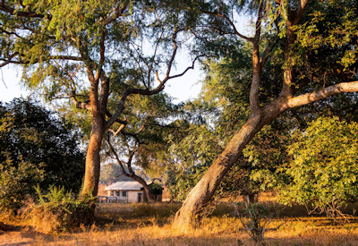 Expansive unfenced swimming pool at Flatdogs Camp in South Luangwa National Park, Zambia