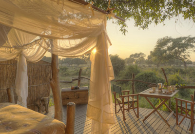 Elevated Jackalberry Treehouse offering wildlife views at Flatdogs Camp, South Luangwa National Park, Zambia