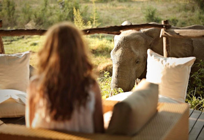 Cosy and unpretentious evening atmosphere perfect for sharing safari stories around the fire at Flatdogs Camp