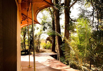 Ila Safari Lodge Hook Bridge area central Kafue National Park largest oldest park Zambia