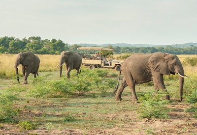 Kafunta River Lodge pontoon crossing game drive South Luangwa National Park Zambia