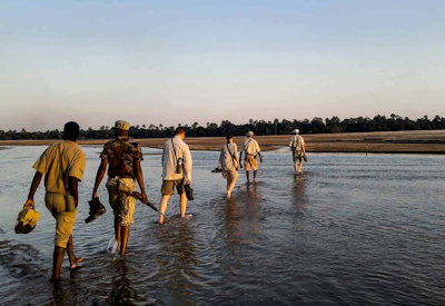 Kafunta Three Rivers Camp walking safari Luangwa River South Luangwa National Park Zambia