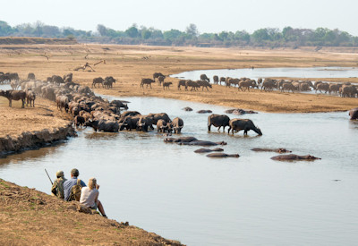 The famous Kaingo Camp elephant hide built high in the trees overlooking a historical river crossing