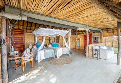 Expert guided walking safaris tracking diverse wildlife through the pristine landscapes of South Luangwa near Kakuli Bush Camp