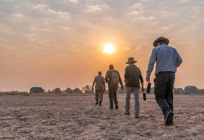 Abundant wildlife sightings including resident hippos, crocodiles, and visiting elephant herds near Kakuli Bush Camp