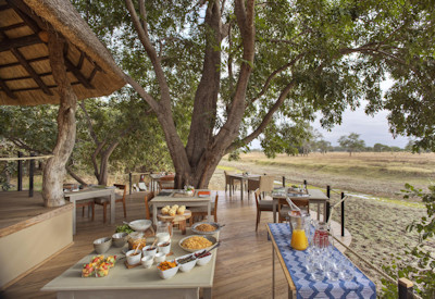 Delicious gourmet dining experiences beautifully paired with estate wines on the viewing deck at Lion Camp