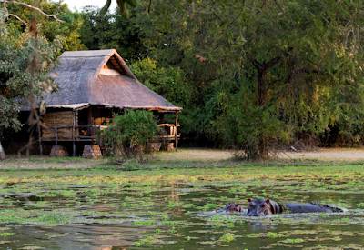 An inviting multi level swimming pool on the wooden deck overlooking wildlife at the Mfuwe Lodge lagoon