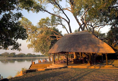 The central open-plan bar and dining area built around a spectacular ebony tree at Nkwali Camp