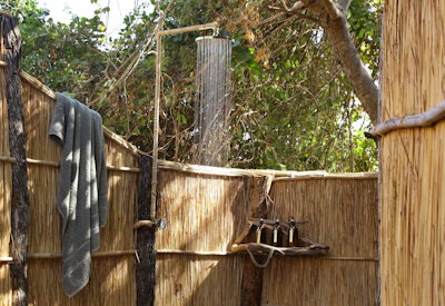 Expert guided walking safaris tracking lions, leopards, and wild dogs through the Luangwa wilderness