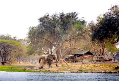 Old Mondoro exceptional wildlife sightings hippo islands Zambezi River Lower Zambezi Zambia