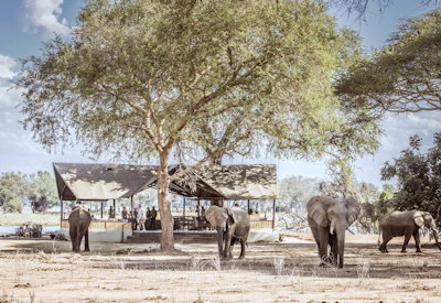 Old Mondoro wilderness Lower Zambezi National Park wildlife Zambezi River Zambia