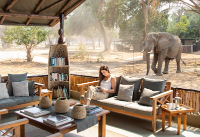 Elephant walking through Old Mondoro camp Lower Zambezi National Park Zambia