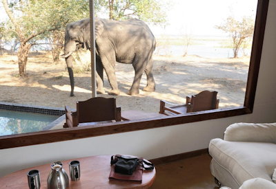 Potato Bush Camp raised timber boardwalk tented suites Lower Zambezi National Park Zambia