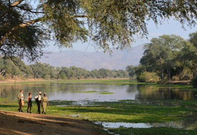 Walking safari Lower Zambezi National Park Potato Bush Camp Zambia