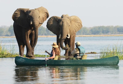 Chifungulu Channel canoeing safari tiger fish Potato Bush Camp Lower Zambezi Zambia