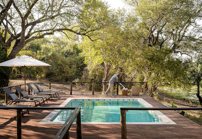 Exclusive safari dining experience featuring fine gourmet cuisine on the outdoor deck at Sungani Lodge