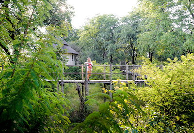 Sussi Chuma Lodge wooden walkways ebony canopy Zambezi River Livingstone Zambia