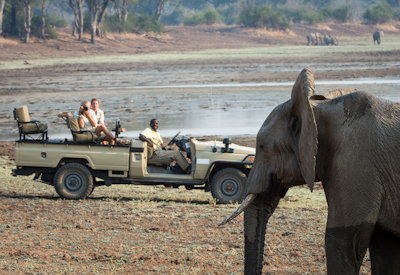 Tena Tena Camp game drive night drive South Luangwa National Park Zambia
