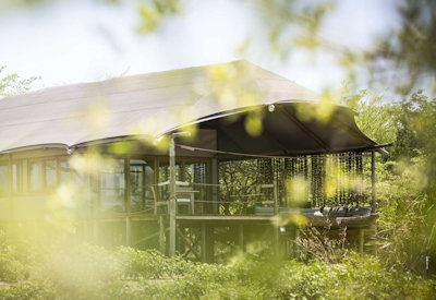 Toka Leya Camp wooden walkway tented safari suites Zambezi River Wilderness Safaris Zambia