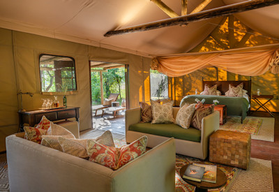 Elephants and diverse African wildlife gathering at the natural spring waterhole in front of Zungulila Bushcamp