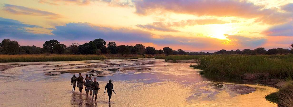 Authentic Zambia Safari