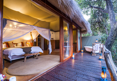 Lion leopard elephant buffalo Carmine bee-eaters Authentic Zambia Safari wildlife sightings