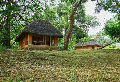 South Luangwa National Park Thorneycroft giraffe Cookson Gnu Crawshay Zebra Zambia safari