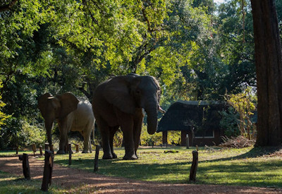Lufupa River boat transfer Hippo Lodge North Kafue Authentic Zambia Safari adventure