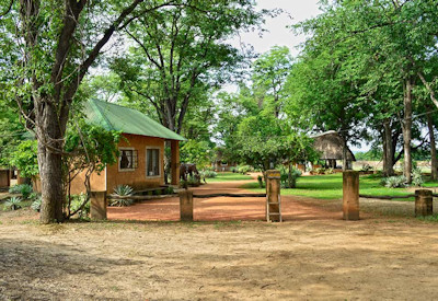 Walking safari Wildlife Camp South Luangwa National Park Best Of Zambia Safari