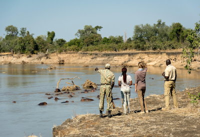 Night game drive South Luangwa National Park Luangwa River Camp Kasanka Bat Safari Zambia