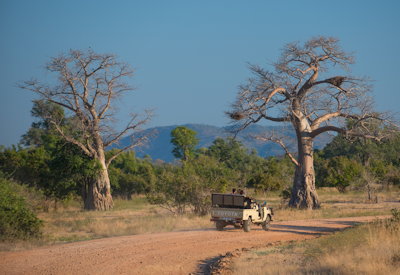 Nsefu Camp outstanding birdlife exclusive Nsefu Sector South Luangwa Walking Safari Zambia