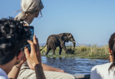 Canoeing boating tiger fishing catch-release Zambezi River Lower Zambezi Zambia Two Rivers