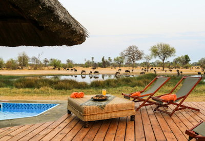 Bomani Tented Lodge splash pool waterhole views Hwange National Park Zimbabwe