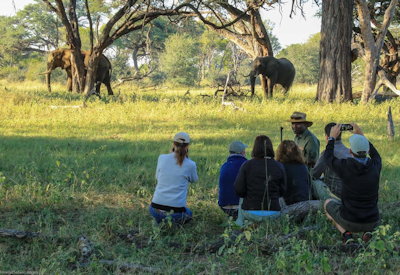 Camelthorn Lodge walking safari Ngamo Plains Hwange National Park Zimbabwe