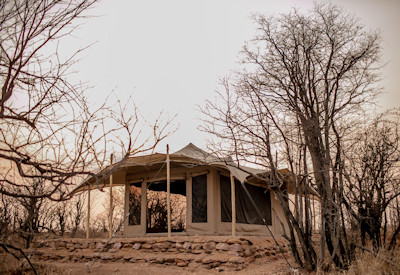 Camp Chitubu spectacular site walking safaris 100 mammal species Hwange Zimbabwe