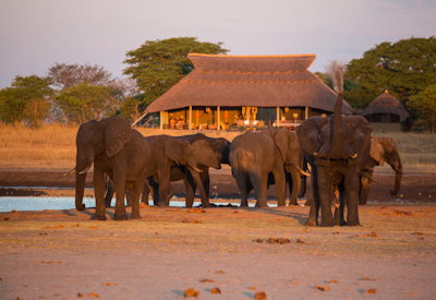 Camp Hwange elephant waterhole Sinamatella concession Hwange National Park Zimbabwe