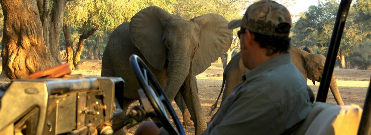 Chikwenya Safari Lodge