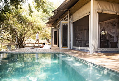 Chikwenya Camp swimming pool Albida Natal mahogany forest Zambezi views Zimbabwe