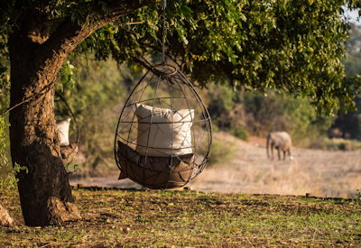 Game drive walking safari night drive Tiger fish Chikwenya Mana Pools Zimbabwe