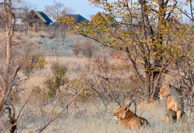 Daka Plains Camp big sky country Kalahari ecosystem remote Hwange National Park Zimbabwe