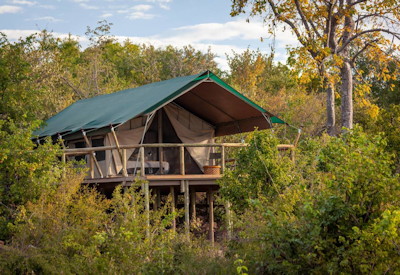 Deteema Springs Camp private elevated viewing deck permanent springs views Hwange Zimbabwe